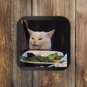 Dinner Table Cat Meme Funny Internet Yelling Confused Gift TShirt Coaster