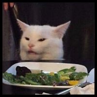 Dinner Table Cat Meme Funny Internet Yelling Confused Gift TShirt Flatbill Hat