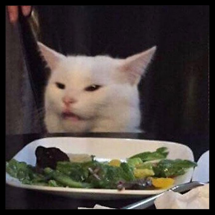 Dinner Table Cat Meme Funny Internet Yelling Confused Gift TShirt Flatbill Hat
