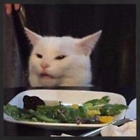 Dinner Table Cat Meme Funny Internet Yelling Confused Gift TShirt Golf Towel