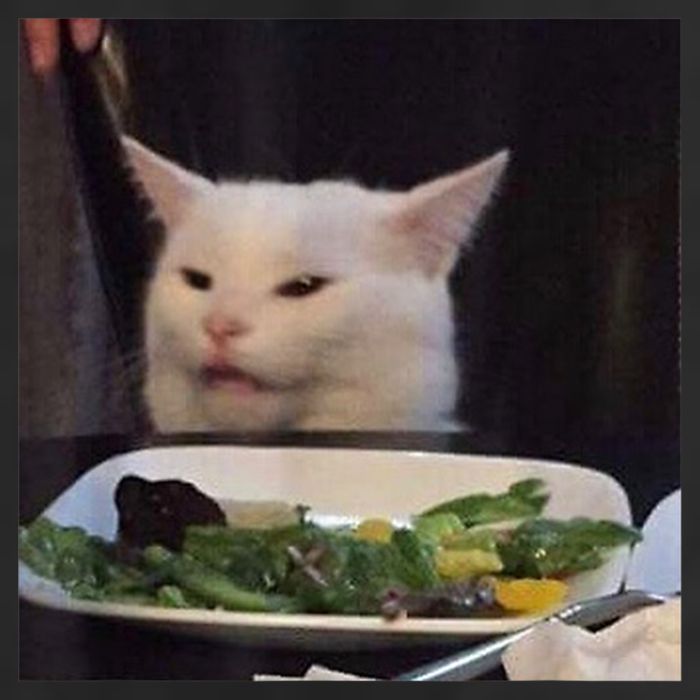 Dinner Table Cat Meme Funny Internet Yelling Confused Gift TShirt Golf Towel
