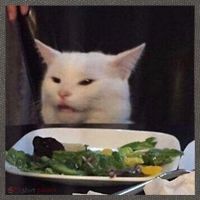 Dinner Table Cat Meme Funny Internet Yelling Confused Gift TShirt Cotton Canvas Backpack