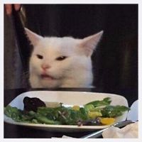 Dinner Table Cat Meme Funny Internet Yelling Confused Gift TShirt Garment-Dyed Sweatshirt