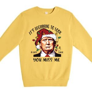 Donald Trump Christmas Premium Crewneck Sweatshirt