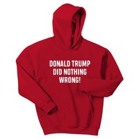 Donald Trump Did Nothing Wrong! Kids Hoodie