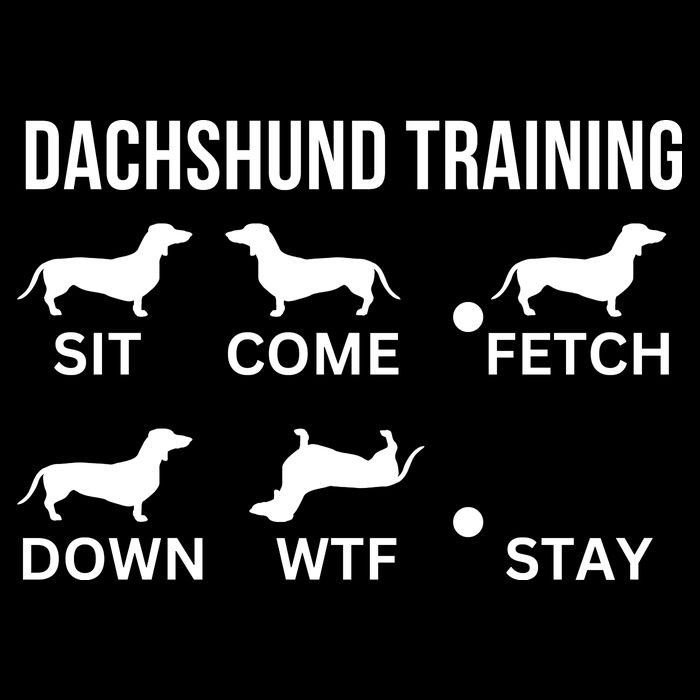 Dachshund Training Dachshund Dog Tricks Flexfit Unipanel Trucker Cap
