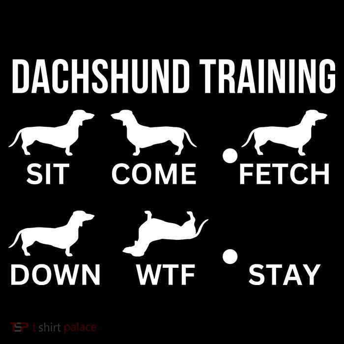 Dachshund Training Dachshund Dog Tricks T-Shirt