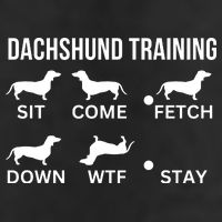Dachshund Training Dachshund Dog Tricks 15oz Campfire Ceramic Mug