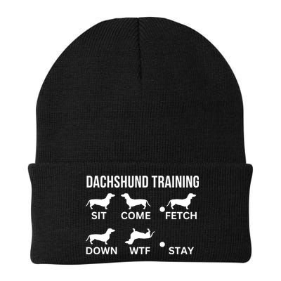 Dachshund Training Dachshund Dog Tricks Beanie