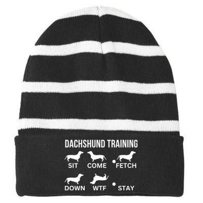 Dachshund Training Dachshund Dog Tricks Striped Beanie with Solid Band