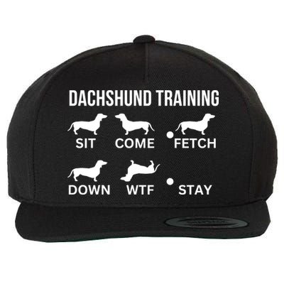 Dachshund Training Dachshund Dog Tricks Wool Snapback Cap