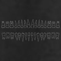 Dentist Teeth 7 Panel Mesh Trucker Snapback Hat