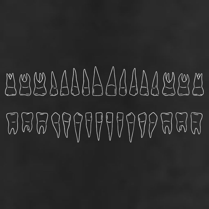 Dentist Teeth 7 Panel Mesh Trucker Snapback Hat