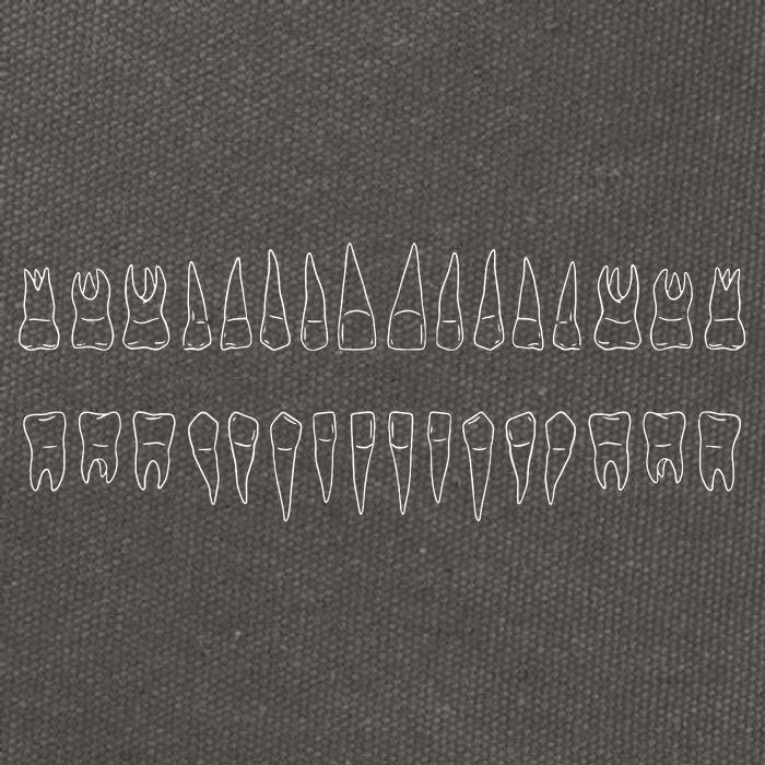 Dentist Teeth Cotton Canvas Backpack