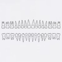 Dentist Teeth 11oz C Handle Ceramic Mug
