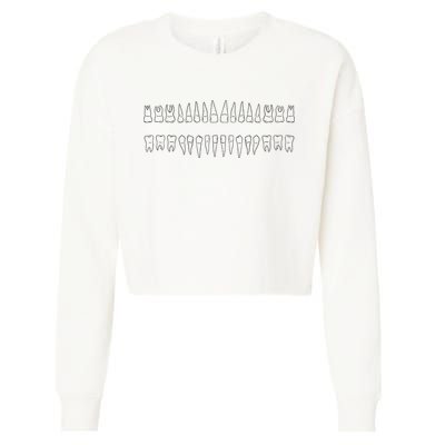 Dentist Teeth Cropped Pullover Crew