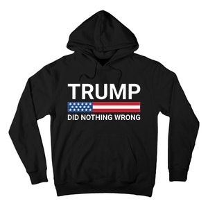 Donald Trump Did Nothing Wrong Hoodie