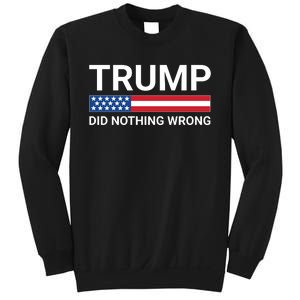 Donald Trump Did Nothing Wrong Sweatshirt