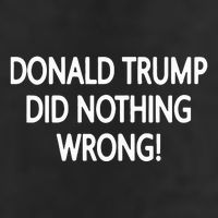 Donald Trump Did Nothing Wrong Cool Comfort Performance Bucket Hat