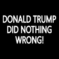 Donald Trump Did Nothing Wrong 16 in Basic Backpack