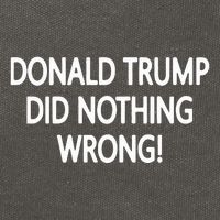 Donald Trump Did Nothing Wrong Cotton Canvas Backpack