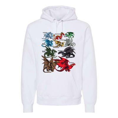 Dragon Types Dragon Lovers Women Men Gifts Premium Hoodie