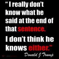 Donald Trump Dont Know What He Said At The End Of That Sentence Stripe Pom Pom Beanie
