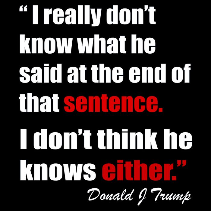 Donald Trump Dont Know What He Said At The End Of That Sentence 16 in Basic Backpack