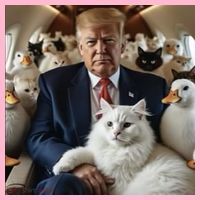 Donald Trump Duck Cat Vote 2024 Premium T-Shirt