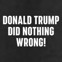 Donald Trump Did Nothing Wrong Cool Comfort Performance Bucket Hat