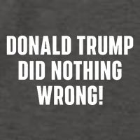 Donald Trump Did Nothing Wrong Vector Backpack