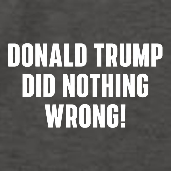 Donald Trump Did Nothing Wrong Vector Backpack