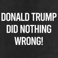 Donald Trump Did Nothing Wrong Cool Comfort Performance Bucket Hat