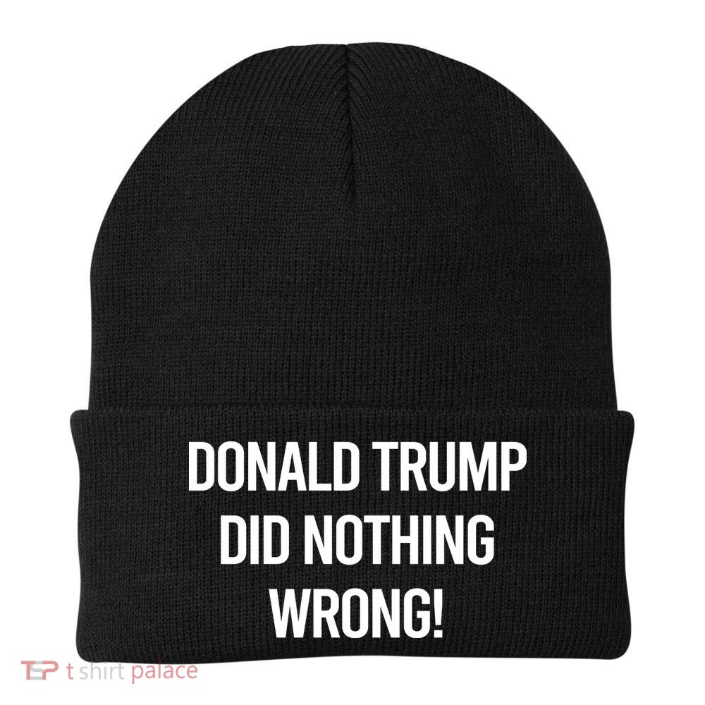 Donald Trump Did Nothing Wrong Beanie