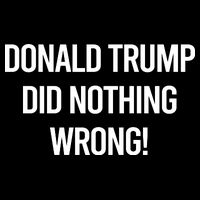 Donald Trump Did Nothing Wrong 16 in Basic Backpack