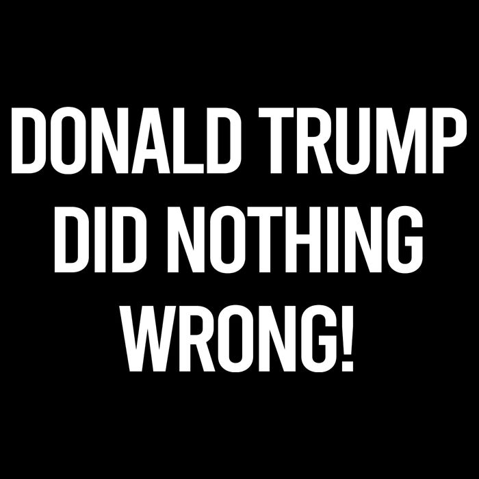 Donald Trump Did Nothing Wrong 16 in Basic Backpack