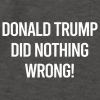 Donald Trump Did Nothing Wrong Vector Backpack