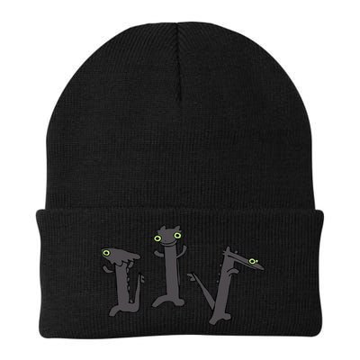 Dancing Toothless Dragon Funny Meme Beanie