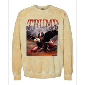 Donald Trump Eagle Usa President 2024 Colorblast Crewneck Sweatshirt