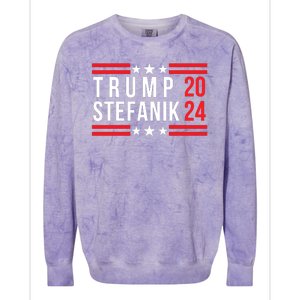 Donald Trump Elise Stefanik Election 2024 Trump Stefanik 2024 Colorblast Crewneck Sweatshirt