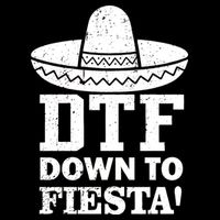 DTF Down To Fiesta USA-Made Doggie Bandana