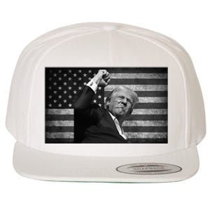 Donald Trump Fight For Freedom Wool Snapback Cap