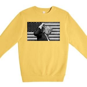 Donald Trump Fight Freedom Usa Flag Premium Crewneck Sweatshirt