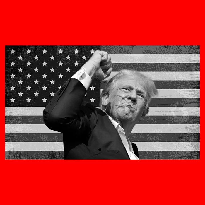 Donald Trump Fight Freedom Usa Flag Button