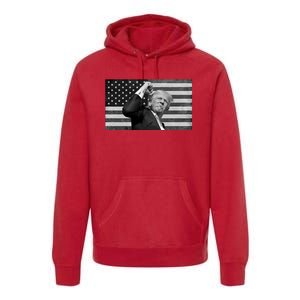 Donald Trump Fight Freedom Usa Flag Premium Hoodie