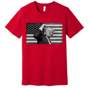 Donald Trump Fight Freedom Usa Flag Premium T-Shirt