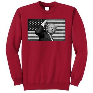 Donald Trump Fight Freedom Usa Flag Tall Sweatshirt