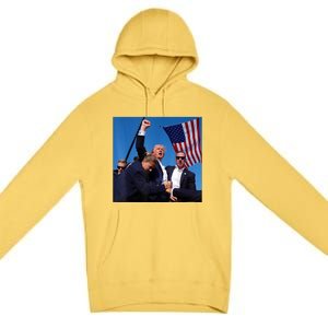 Donald Trump Fight Fist 2024 Premium Pullover Hoodie