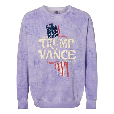 Donald Trump For President 2024 Colorblast Crewneck Sweatshirt