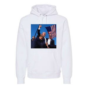 Donald Trump Fight Fist 2024 Raglan Baseball Premium Hoodie